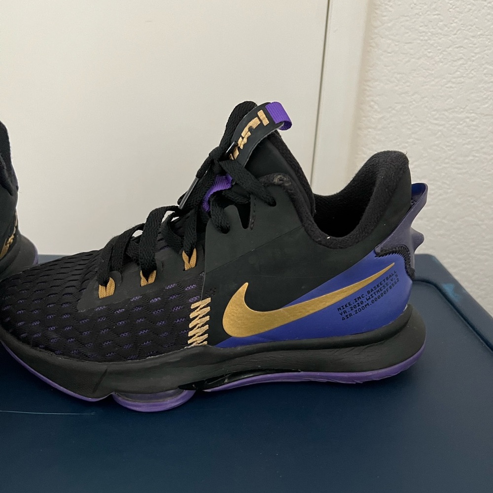 Lebron witness V